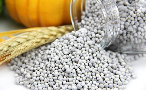 DAP Fertilizer Export