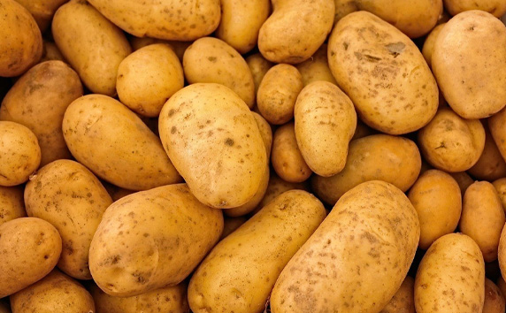 Potato Export