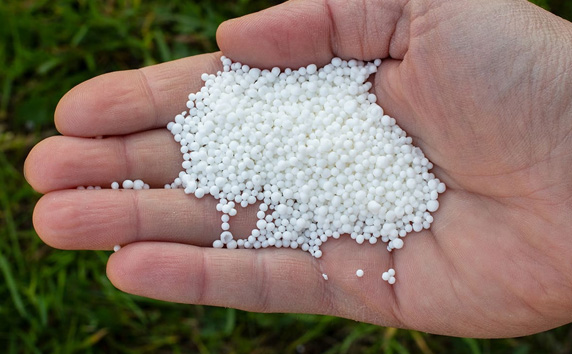 Calcium Nitrate Export