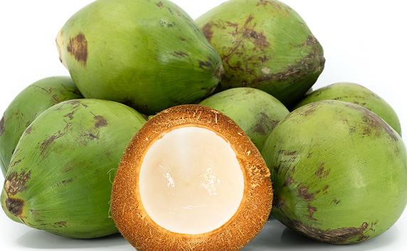 Coconut Export