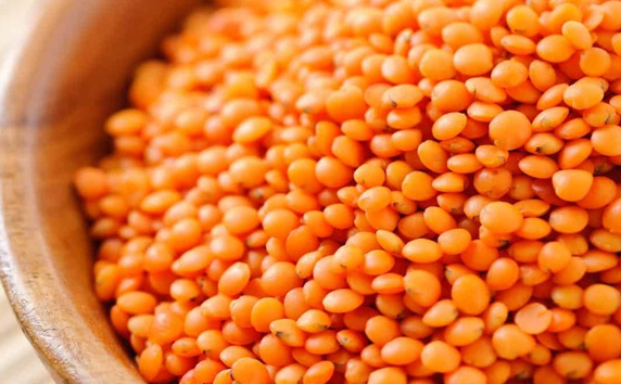 Red Lentils Export