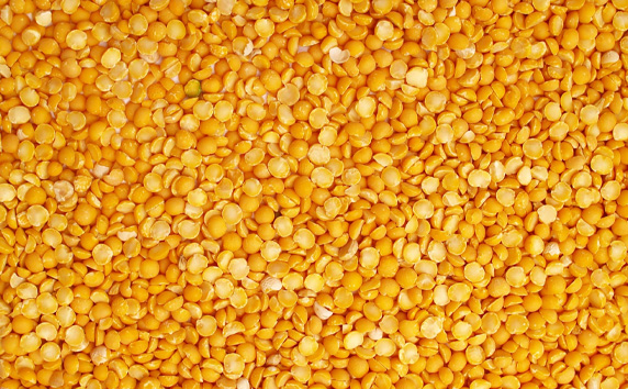 Yellow Lentils Export