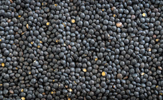 Black Lentils Export