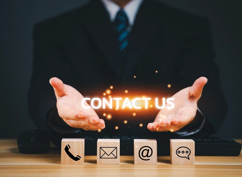 Alfee Group Contact