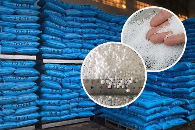 Fertilizers