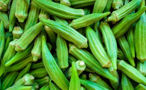 Okra Export
