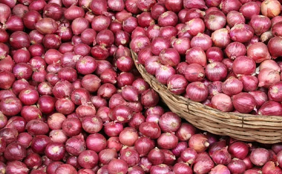 Onion Export