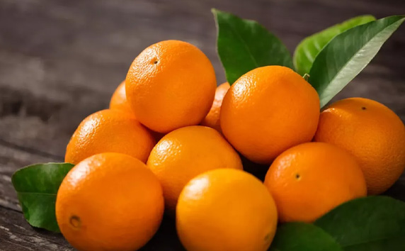 Orange Export